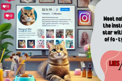 Meet nala cat the instagram star with a ton of fo - tymoff